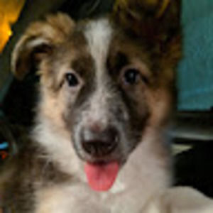 Meet your Posher, Alicia